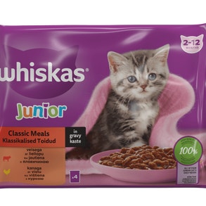 Junior Product Image