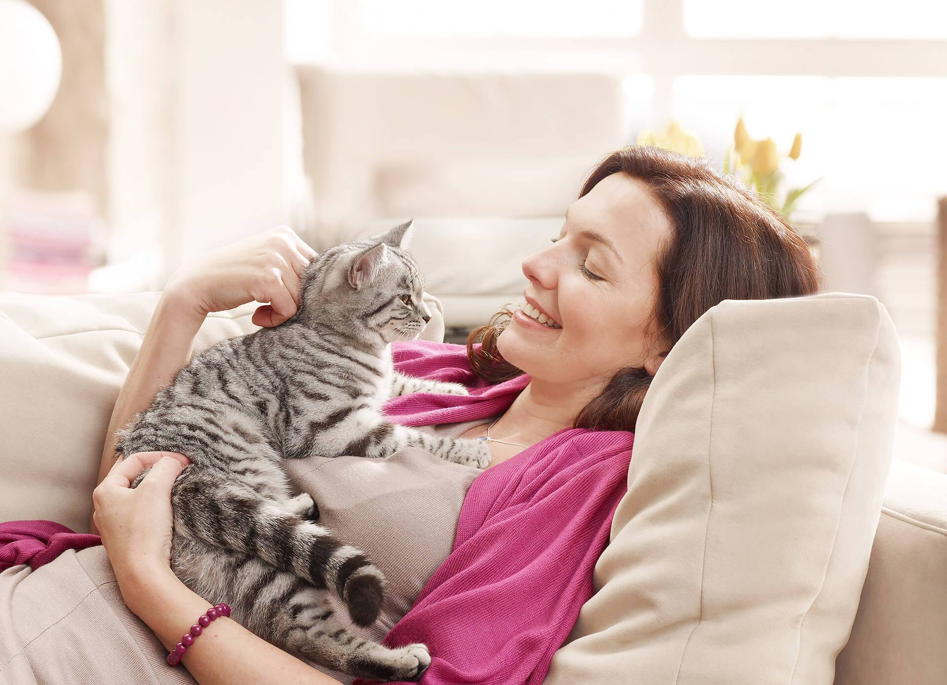 IMG-cat2